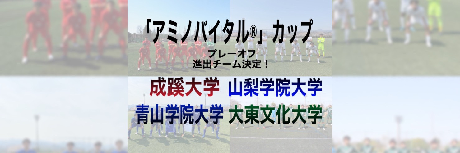 東京都大学サッカー連盟